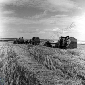 Harvesting, Sancton Wold